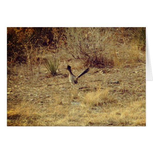 Roadrunner Grußkarte + weißer Umschlag (Vorderseite (Horizontal))