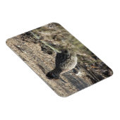 Roadrunner Magnet (Rechte Seite)