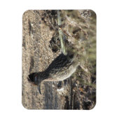 Roadrunner Magnet (Vertikal)