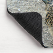 Roadrunner Mousepad (Ecke)