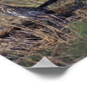 Roadrunner Poster (Ecke)