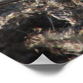 Roadrunner Poster (Ecke)