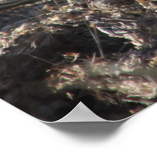 Roadrunner Poster (Ecke)