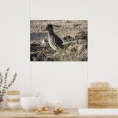 Roadrunner Poster (Küche)