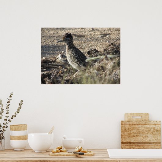 Roadrunner Poster (Küche)
