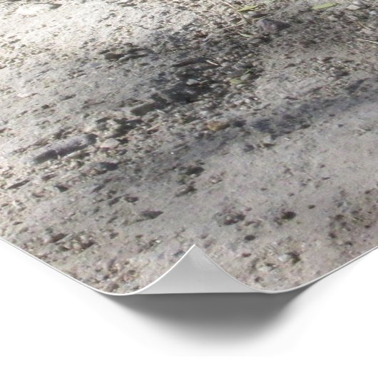 Roadrunner Poster (Ecke)