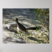 Roadrunner Poster (Vorne)