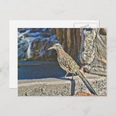 Roadrunner Postkarte (Vorne/Hinten)