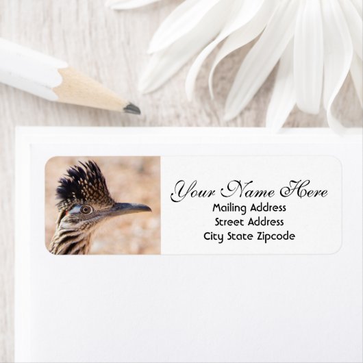 Roadrunner-Rücksendeadresse (Insitu)