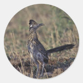 Roadrunner Runder Aufkleber (Vorderseite)