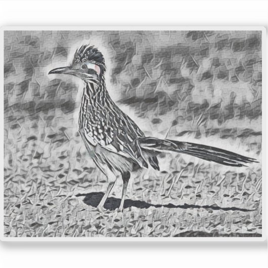 Roadrunner Sketch Aufkleber (Vorderseite)