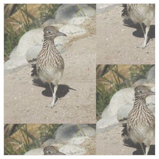 Roadrunner Stoff (Nahaufnahme)