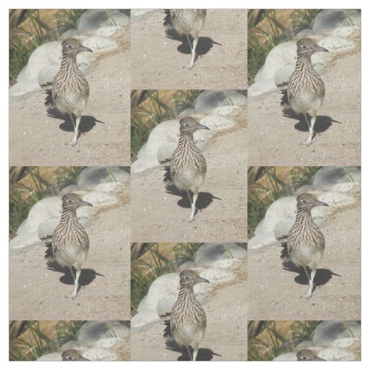 Roadrunner Stoff (Muster)