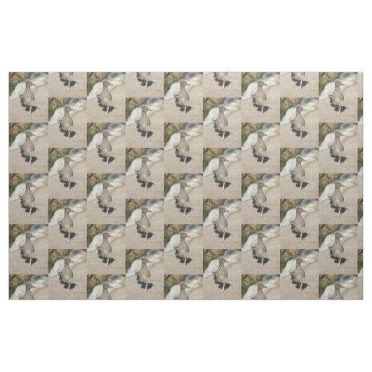 Roadrunner Stoff (Fat Quarter (45,7 x 55,9 cm))