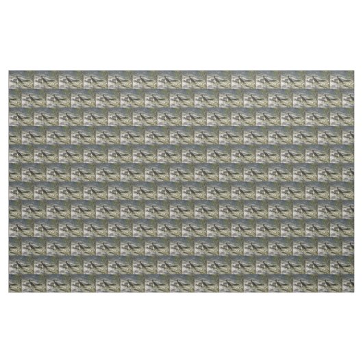 Roadrunner Stoff (Yard (91,4 cm))