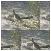 Roadrunner Stoff (Nahaufnahme)