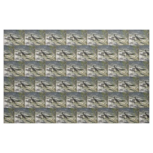 Roadrunner Stoff (Fat Quarter (45,7 x 55,9 cm))