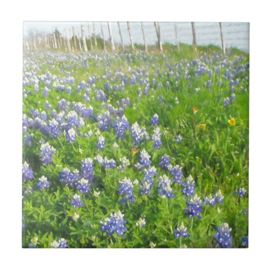 Roadside Bluebonnets Fliese (Vorderseite)