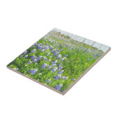 Roadside Bluebonnets Fliese (Seite)