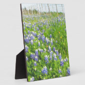 Roadside Bluebonnets Fotoplatte (Seite)