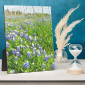 Roadside Bluebonnets Fotoplatte (Seite)