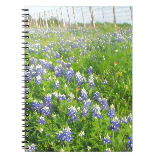 Roadside Bluebonnets Notizblock (Vorderseite)