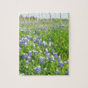 Roadside Bluebonnets Puzzle