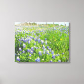 Roadside Bluebonnets Stretted Leinwand (Vorderseite)