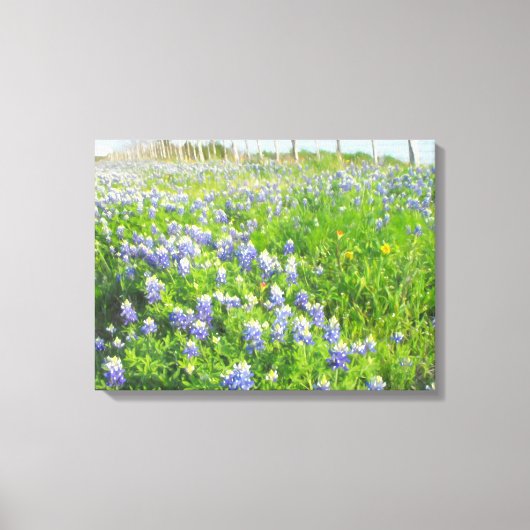 Roadside Bluebonnets Stretted Leinwand (Vorderseite)