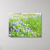 Roadside Bluebonnets Stretted Leinwand (Vorderseite)