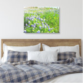 Roadside Bluebonnets Stretted Leinwand (Insitu (Schlafzimmer))