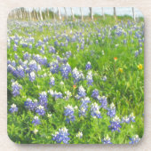Roadside Bluebonnets Untersetzer (Vorderseite)