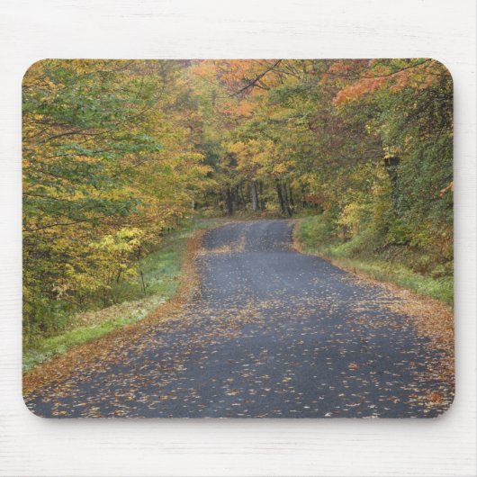 Roadside fallfoliage, Southern Vermont, USA Mousepad (Vorne)
