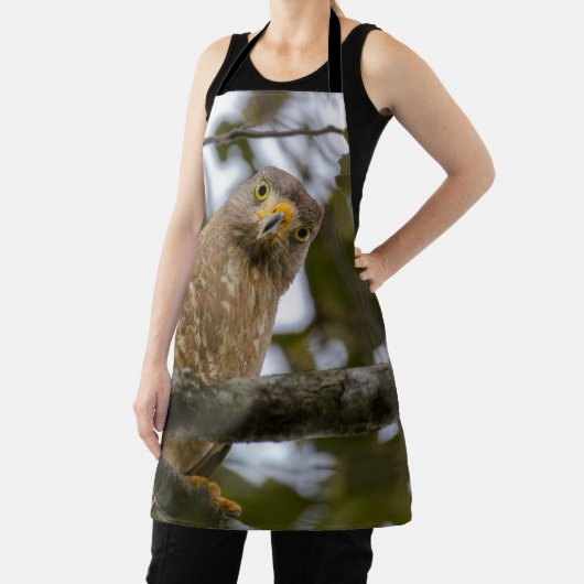 Roadside Hawk, Staring Bird Schürze (InSitu)