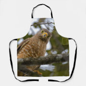 Roadside Hawk, Staring Bird Schürze (Vorderseite)