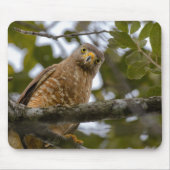 Roadside Hawk, Wildlife Aviary Fotografy Mousepad (Vorne)