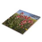 Roadside Wildblumen in Texas, Frühjahr Fliese (Seite)