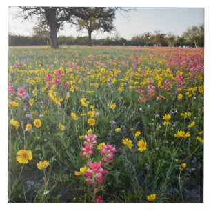 Roadside Wildblumen in Texas, Frühjahr Fliese