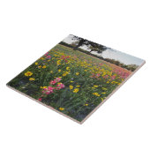 Roadside Wildblumen in Texas, Frühjahr Fliese (Seite)