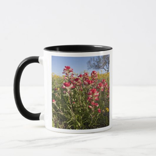 Roadside Wildblumen in Texas, Frühjahr Tasse (Links)