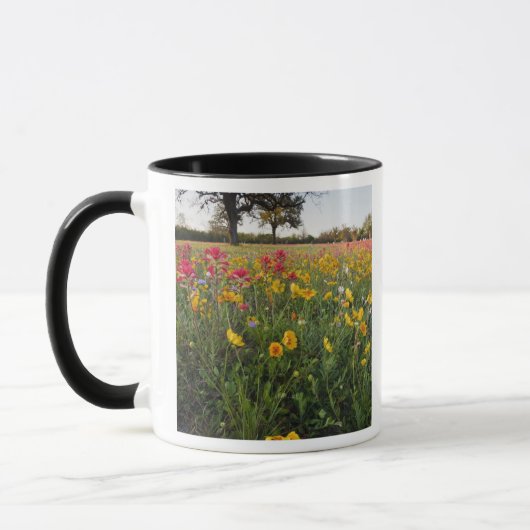 Roadside Wildblumen in Texas, Frühjahr Tasse (Links)