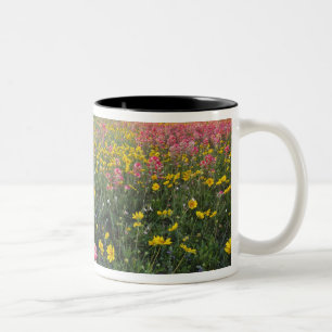 Roadside Wildblumen in Texas, Frühjahr Zweifarbige Tasse