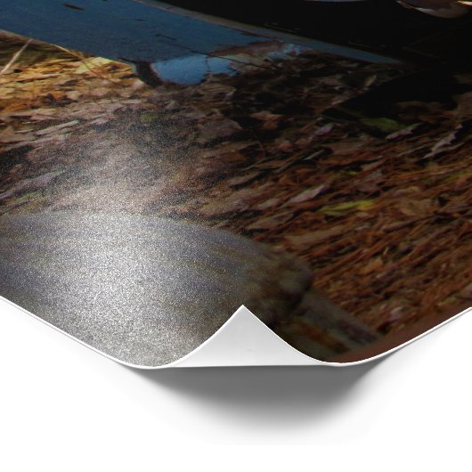 "Roadtripped" Fotodruck (Ecke)