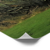 Roadview in Neuseeland Poster (Ecke)