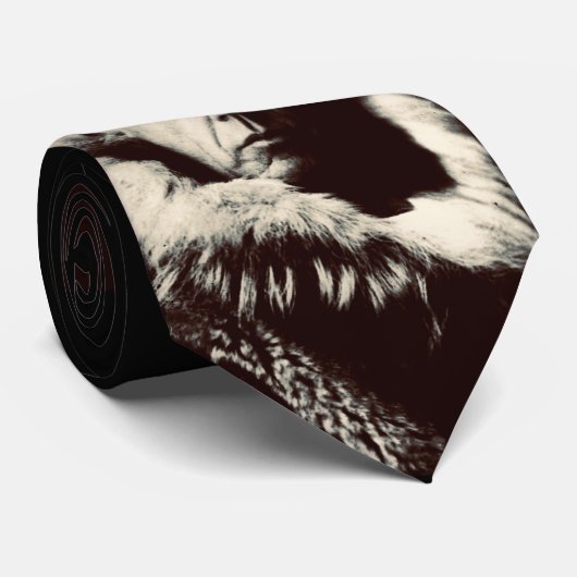 Roald Amundsen Krawatte (Gerollt)