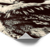 Roald Amundsen Poster (Ecke)