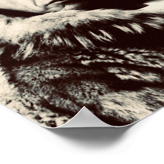 Roald Amundsen Poster (Ecke)