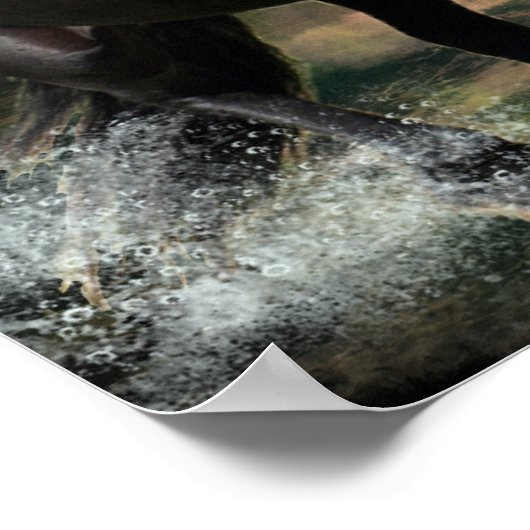 Roam the Tide Poster (Ecke)