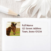 Roaming Paint Horse Mailing Labels (Insitu)