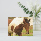 Roaming Paint Horse Postcard Postkarte (Stehend Vorderseite)